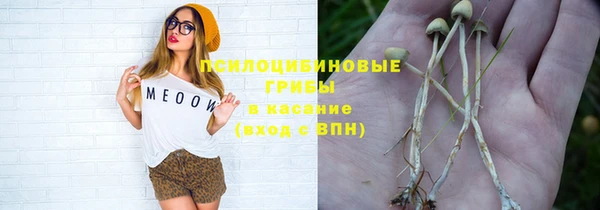 МДПВ Верхний Тагил
