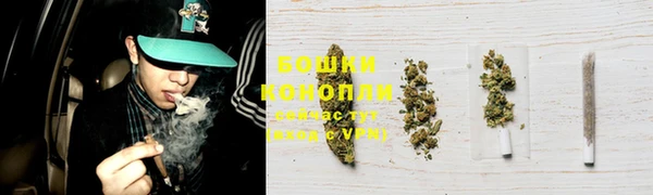МДПВ Верхний Тагил