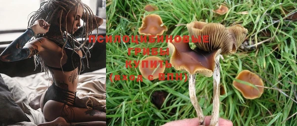 кокс Верея