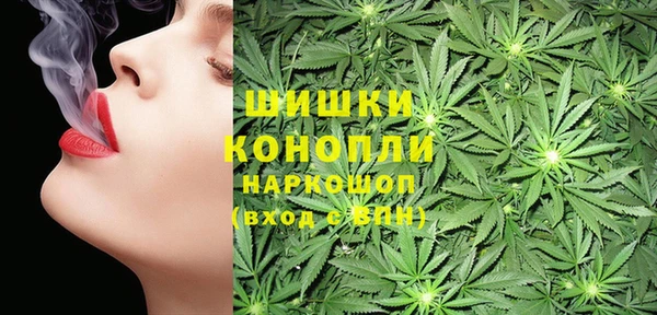 МДПВ Верхний Тагил