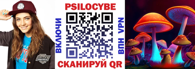 Псилоцибиновые грибы Cubensis  Купить  Кириши 
