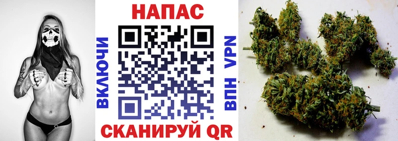 Купить где  Кириши  Бошки марихуана Ganja 